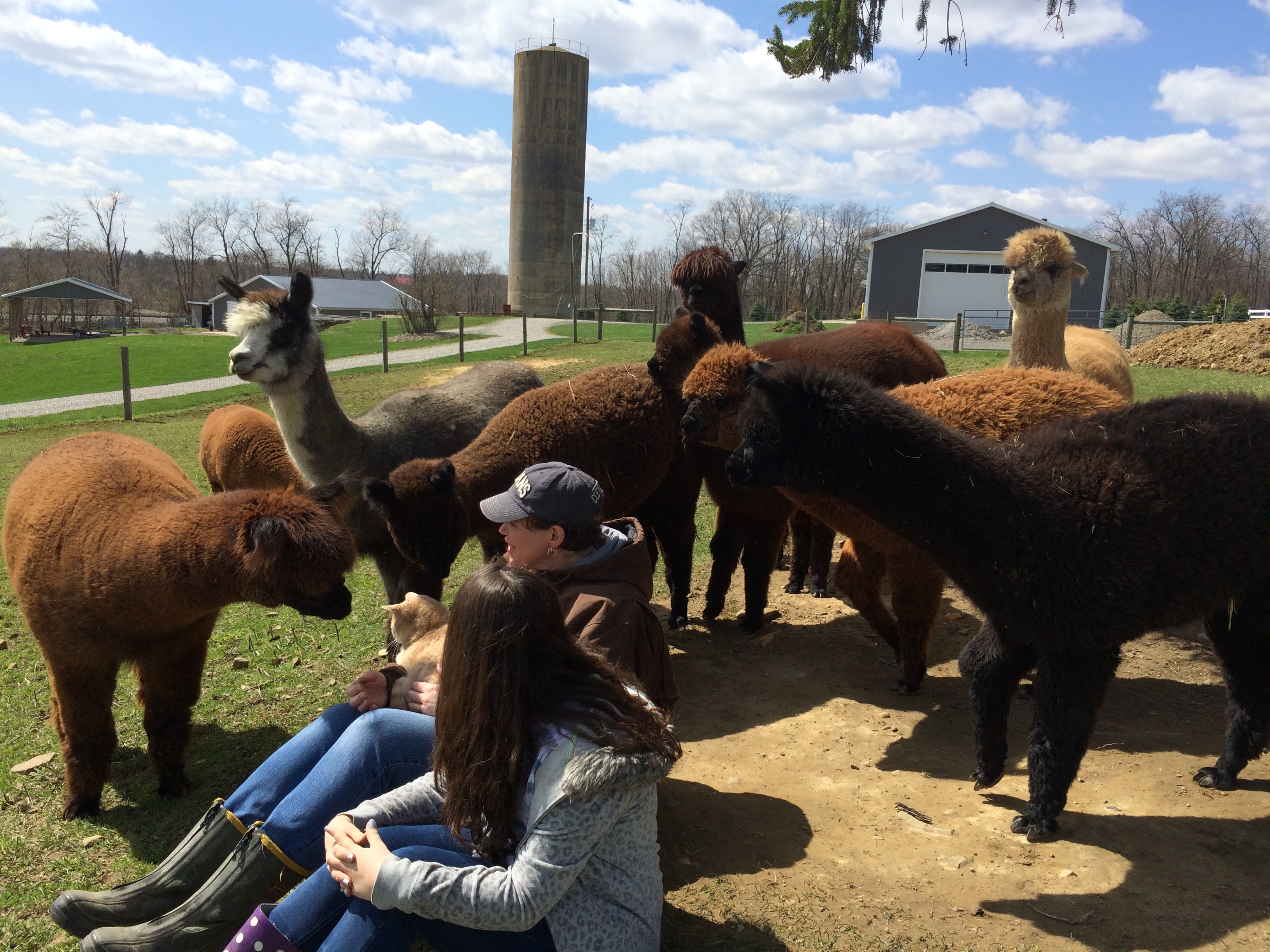 Samantha & Christy with alpacas - April 2015