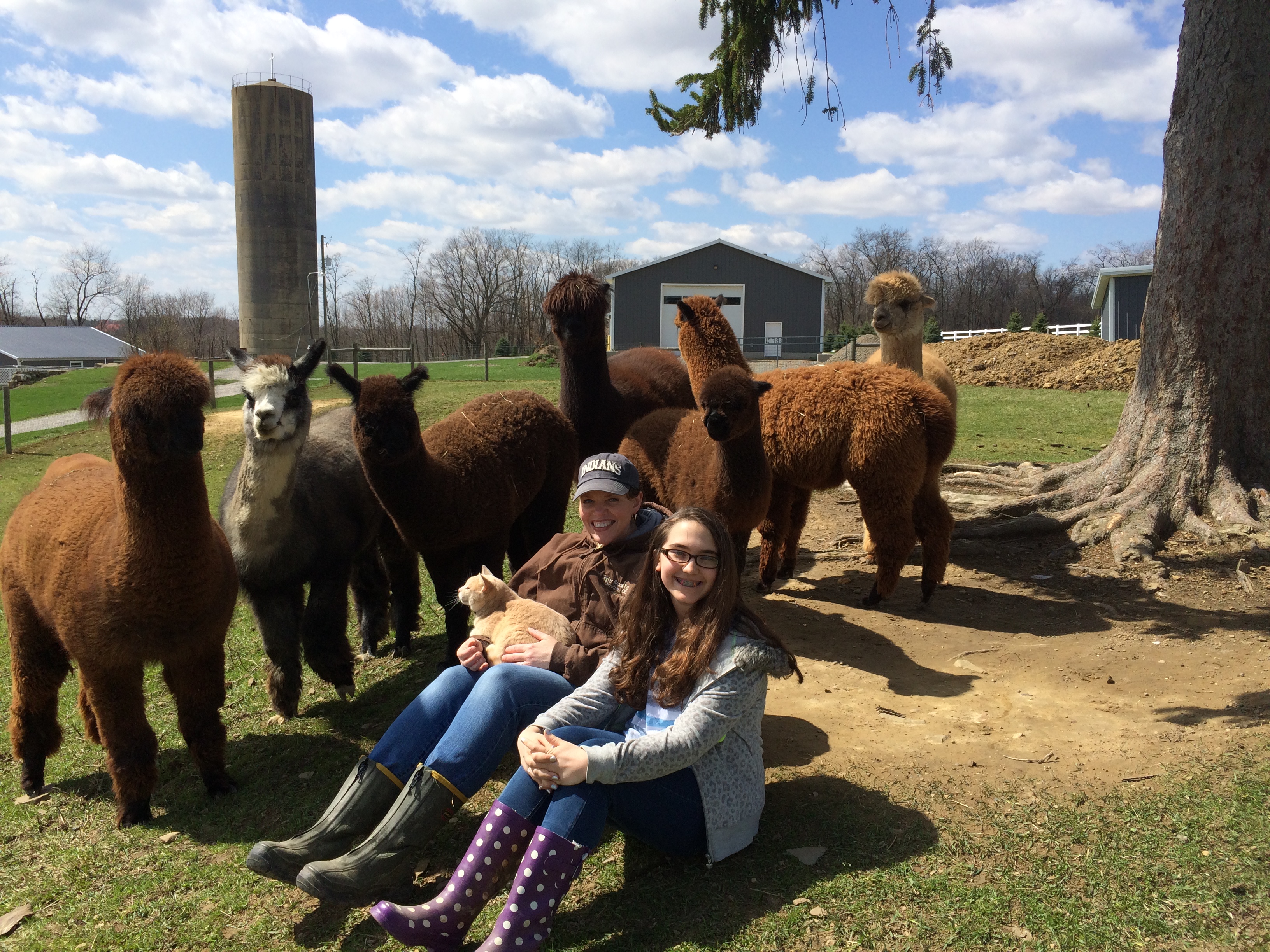 Samantha & Christy with alpacas - April 2015
