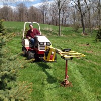 Dave drilling holes for the trees